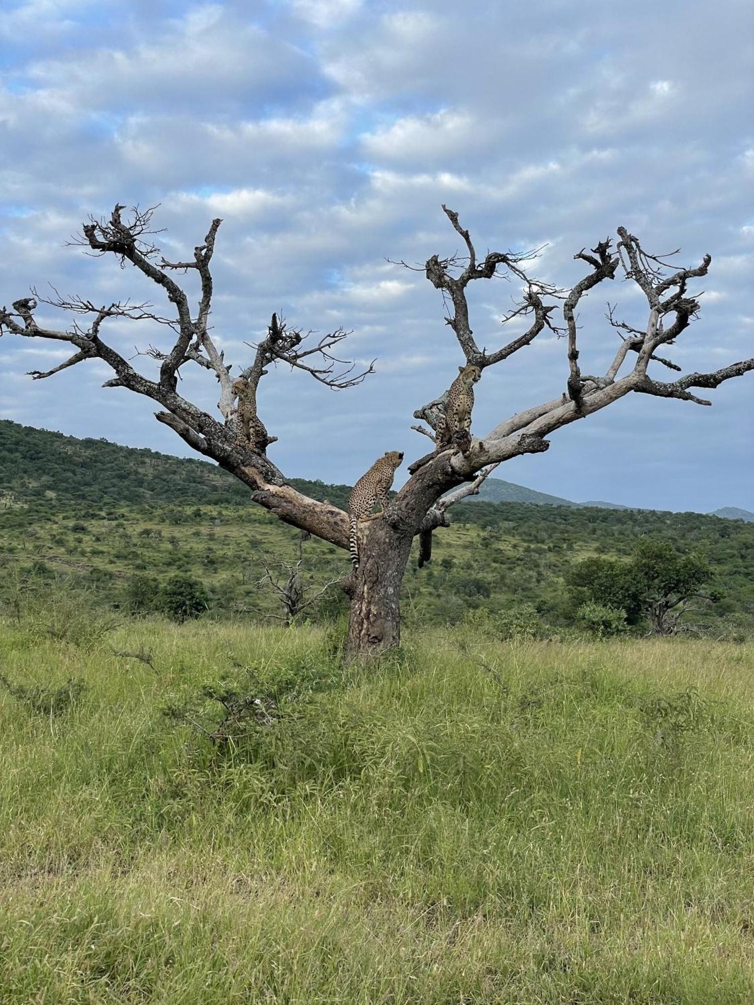 Rhino River Lodge Manyoni Private Game Reserve 外观 照片
