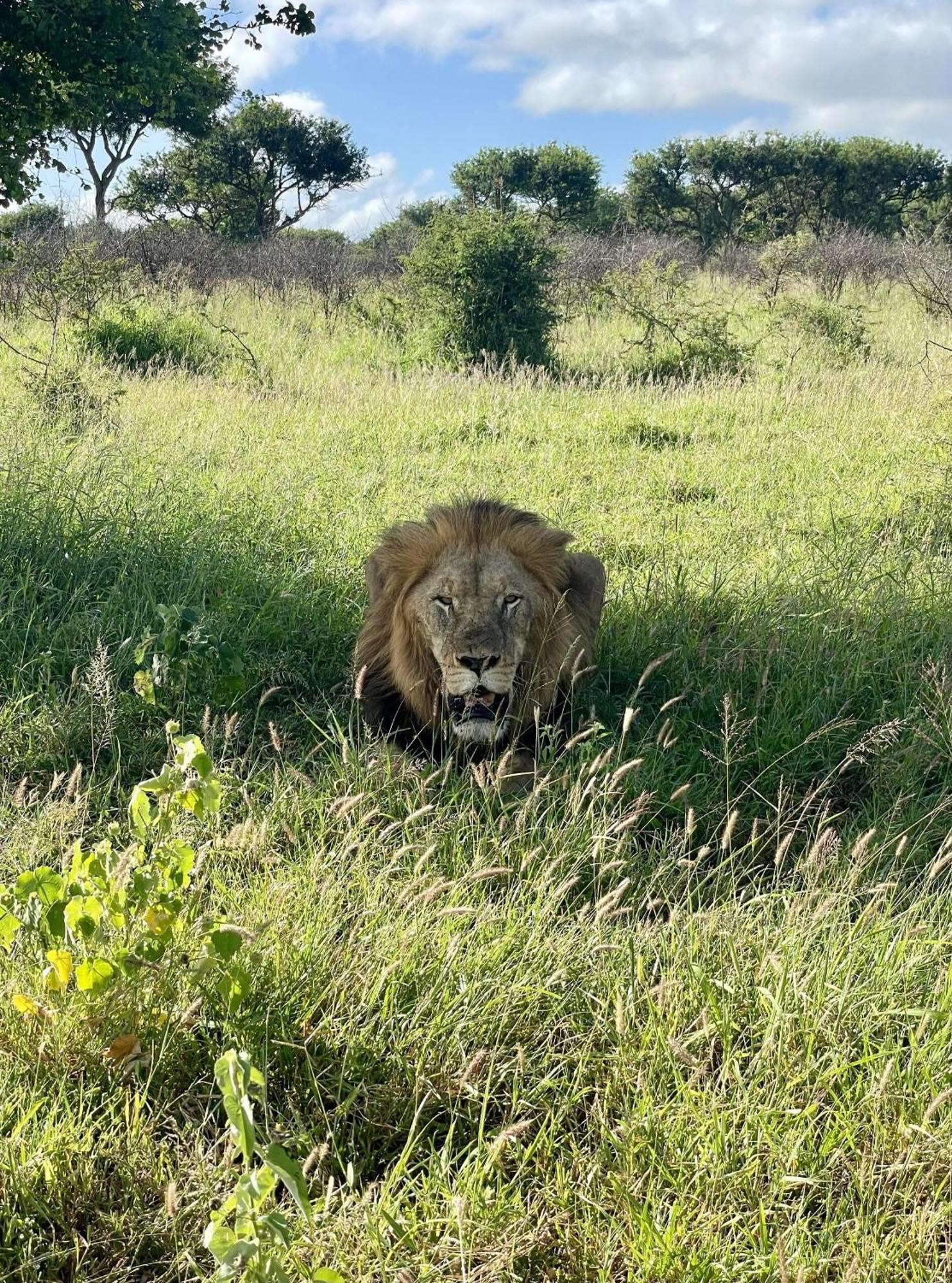 Rhino River Lodge Manyoni Private Game Reserve 外观 照片